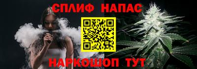 стафф Тосно